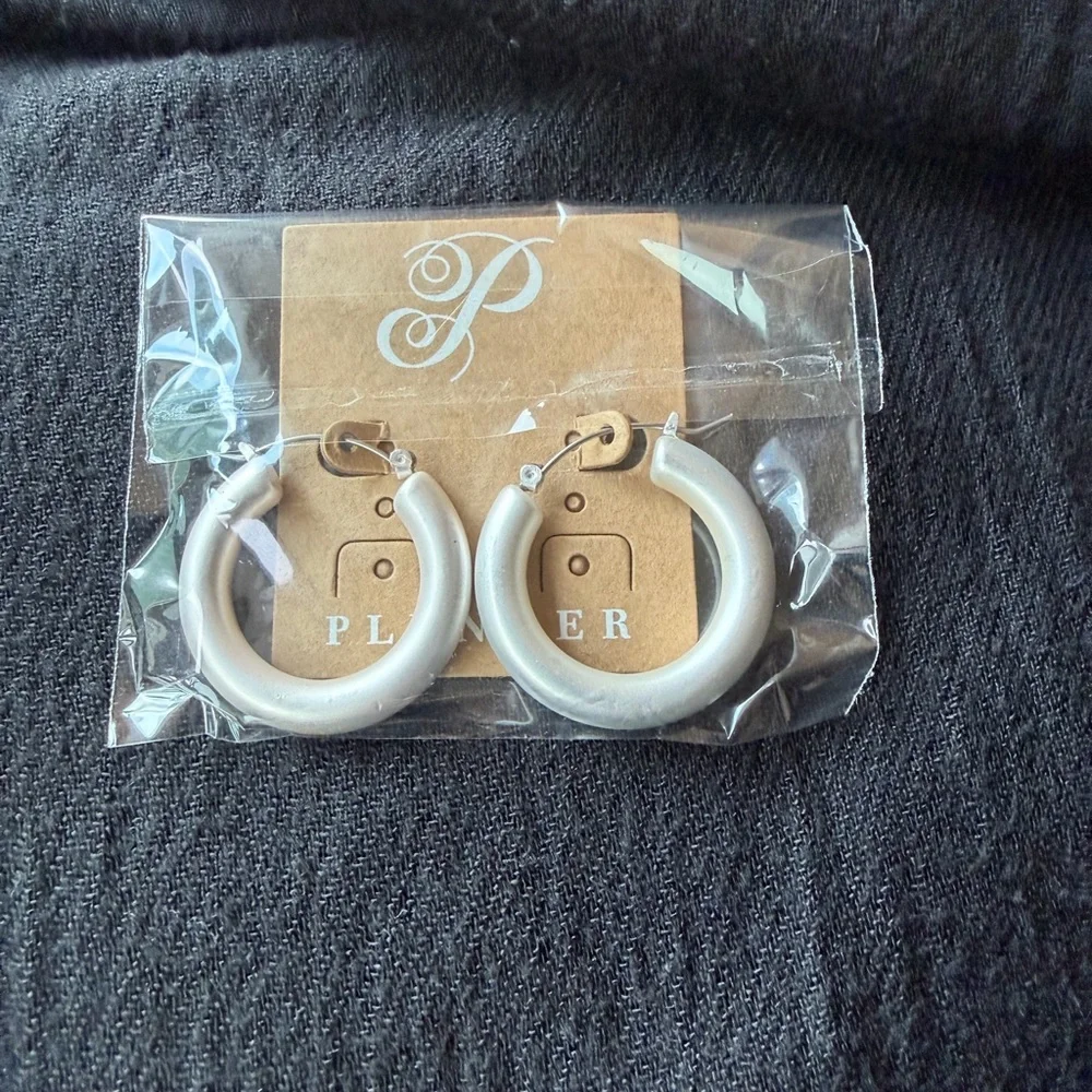 ‼️NWT Plunder Silver Hoop Earrings